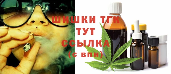 стаф Киренск
