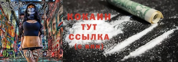 стаф Киренск
