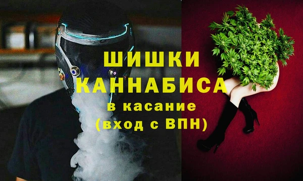стаф Киренск