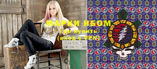 мдпв Каменка