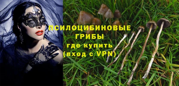 прущая мука Кинешма
