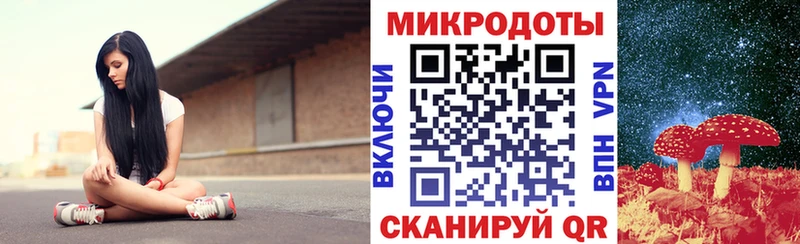 Псилоцибиновые грибы Psilocybine cubensis  закладка  Крымск 