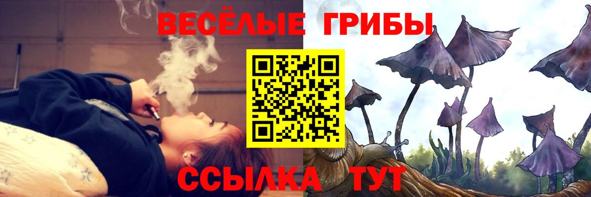 Галлюциногенные грибы Cubensis Крымск